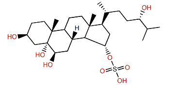 (24S)-5a-Cholestane-3b,5,6b,15a,24-pentol 15-sulfate